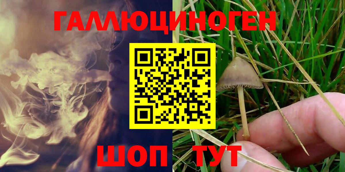 Галлюциногенные грибы мухоморы  Псилоцибиновые грибы Psilocybine cubensis  купить   Бугуруслан  Вход с VPN 
